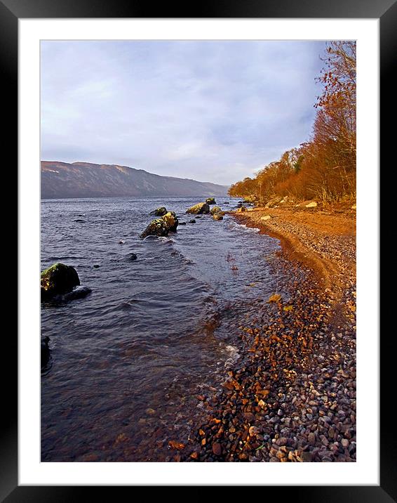 Loch Ness Shoreline Framed Mounted Print by Jacqi Elmslie