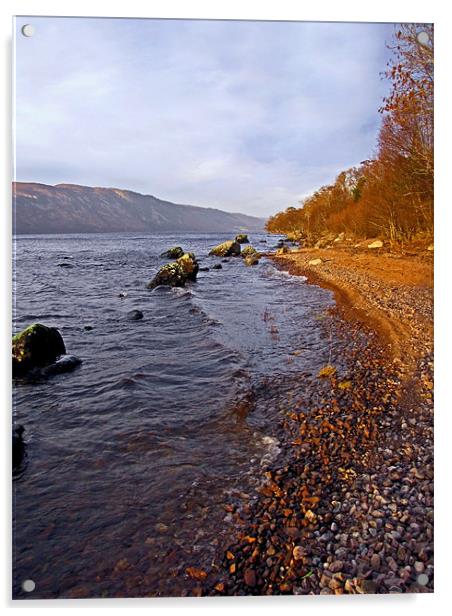 Loch Ness Shoreline Acrylic by Jacqi Elmslie