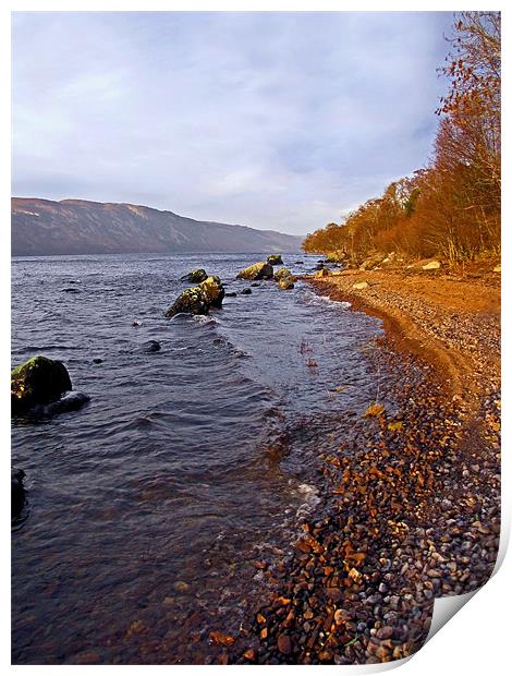 Loch Ness Shoreline Print by Jacqi Elmslie
