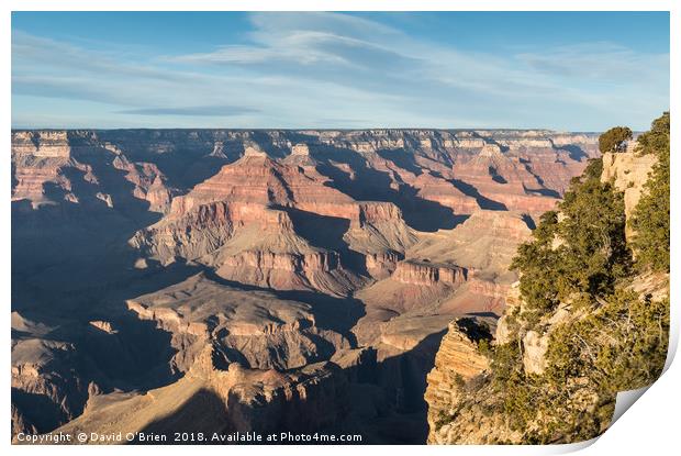 Grand Canyon View Print by David O'Brien