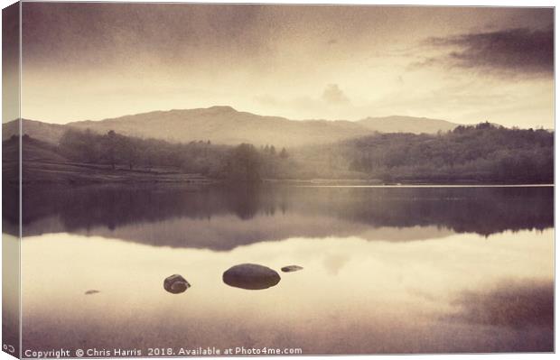 Ethereal Reflections Canvas Print by Chris Harris