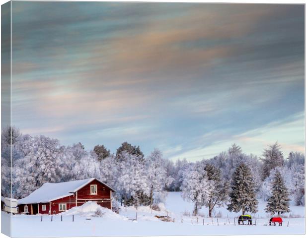 winter in sweden Canvas Print by Hamperium Photography