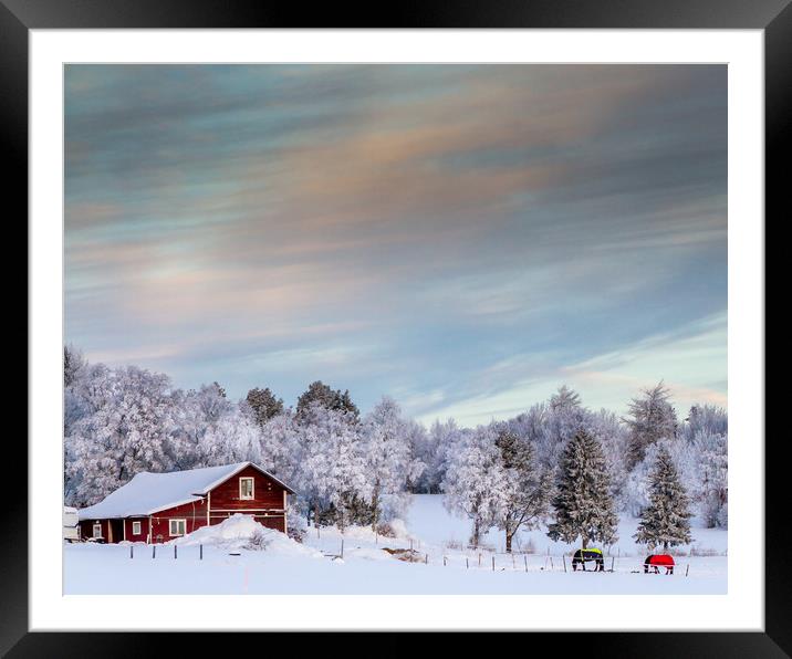 winter in sweden Framed Mounted Print by Hamperium Photography
