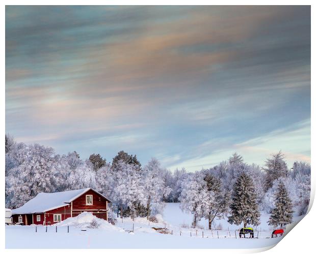 winter in sweden Print by Hamperium Photography