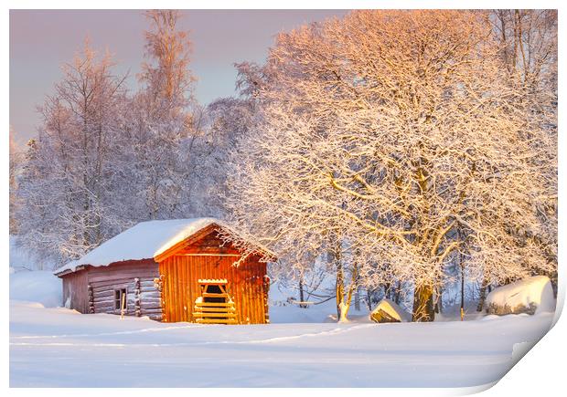 Winter in Jämtland Sweden Print by Hamperium Photography