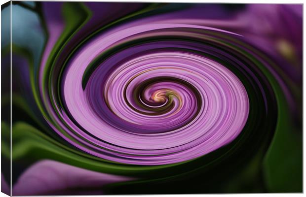Purple Canvas Print by les tobin