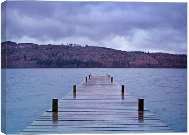 Wet Windermere Canvas Print by David McCulloch