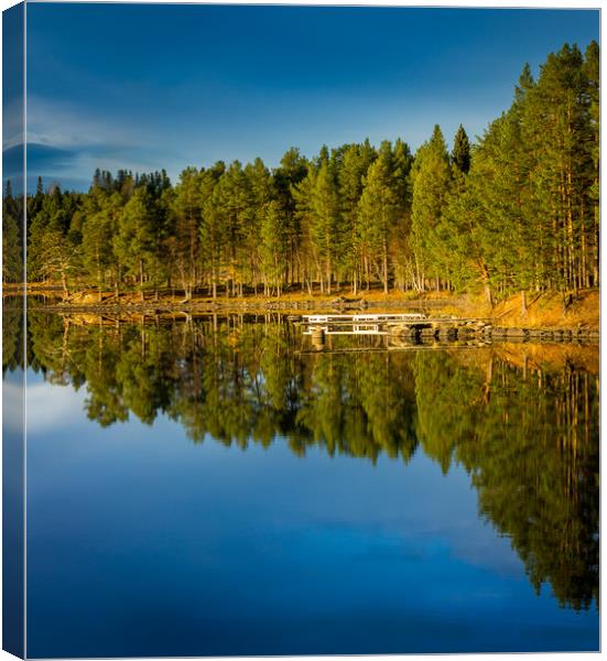 the mirror of the lake Canvas Print by Hamperium Photography