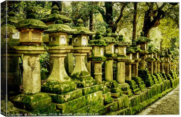 Moss covered Japanese lantern statues Canvas Print by Claire Turner