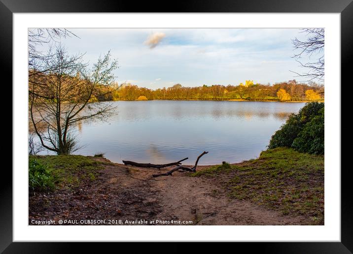 Down to the lake Framed Mounted Print by PAUL OLBISON