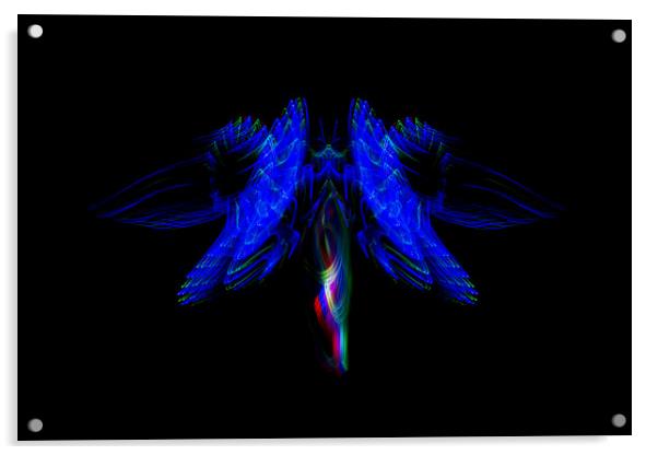 The Light Moth Acrylic by Steve Purnell