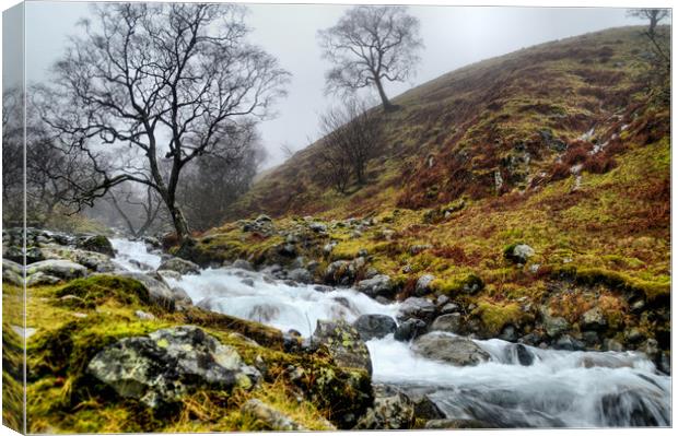Wastwater in Winter Canvas Print by Sarah Couzens
