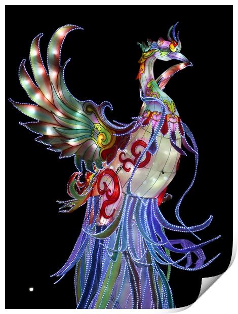 bird of light Print by steven clifton
