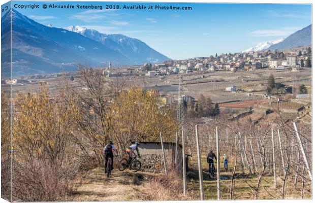 Mountain bikers in Valtellina, Italy  Canvas Print by Alexandre Rotenberg