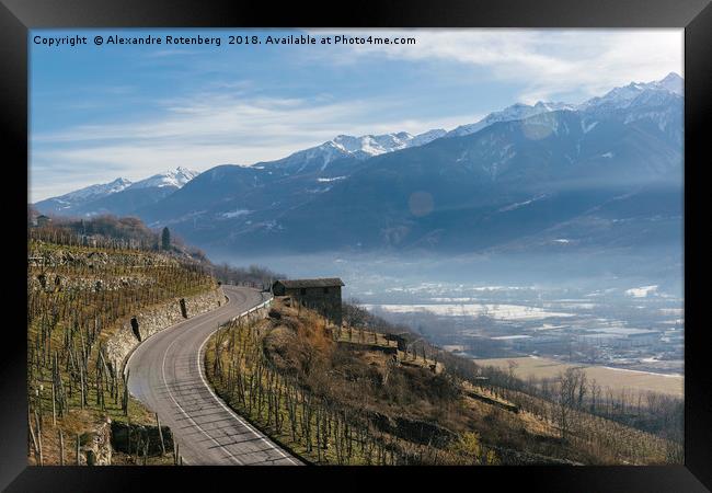 Swerving roads in Valtellina, Lombardy, Italy Framed Print by Alexandre Rotenberg