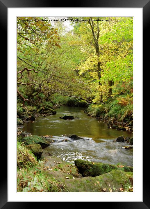 WOODLAND WATERS Framed Mounted Print by andrew saxton