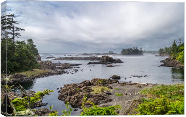Rugged Pacific Coast at Ucluelet Canvas Print by Alf Damp