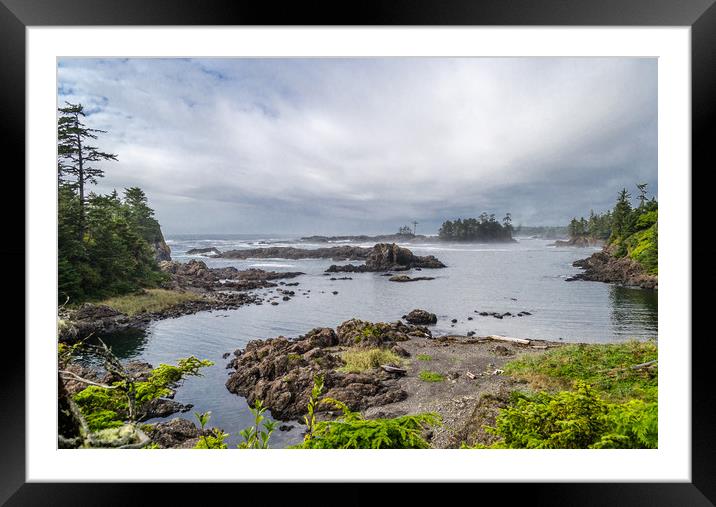 Rugged Pacific Coast at Ucluelet Framed Mounted Print by Alf Damp