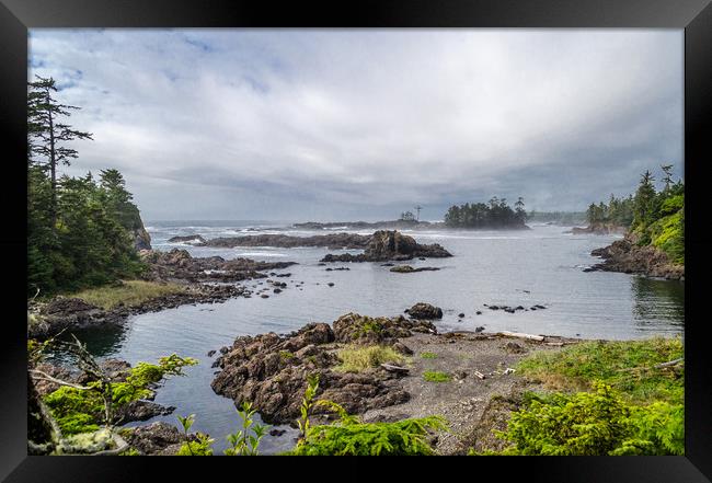 Rugged Pacific Coast at Ucluelet Framed Print by Alf Damp