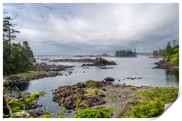 Rugged Pacific Coast at Ucluelet Print by Alf Damp