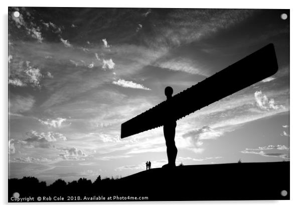 Angel of the North, Newcastle-Gateshead, Tyne and  Acrylic by Rob Cole