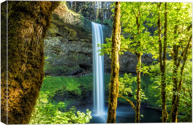 Splendor at South Falls Canvas Print by Belinda Greb