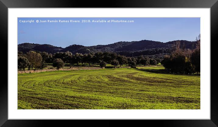 fields of Andalucia Framed Mounted Print by Juan Ramón Ramos Rivero