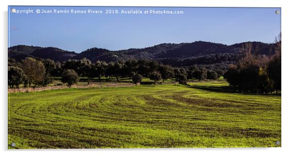 fields of Andalucia Acrylic by Juan Ramón Ramos Rivero