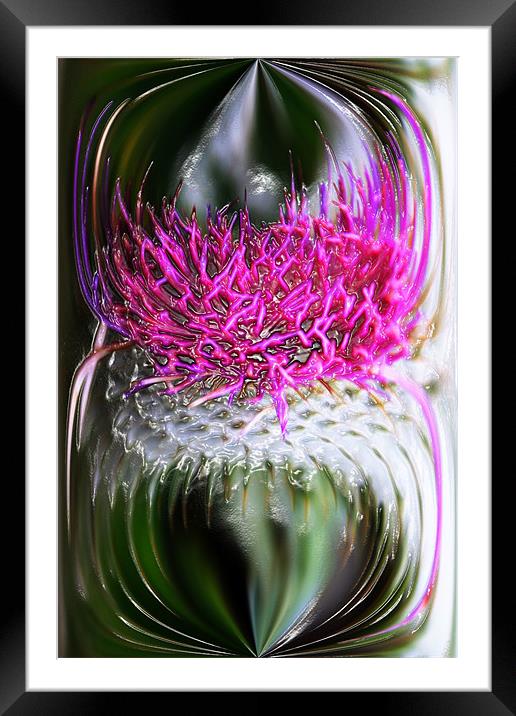 Thistle In Glass Framed Mounted Print by Ian Jeffrey
