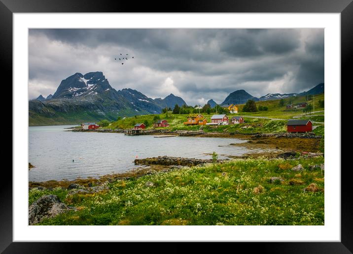 Lofoten Norway Framed Mounted Print by Hamperium Photography