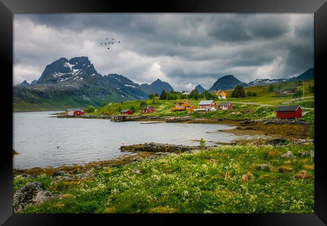 Lofoten Norway Framed Print by Hamperium Photography