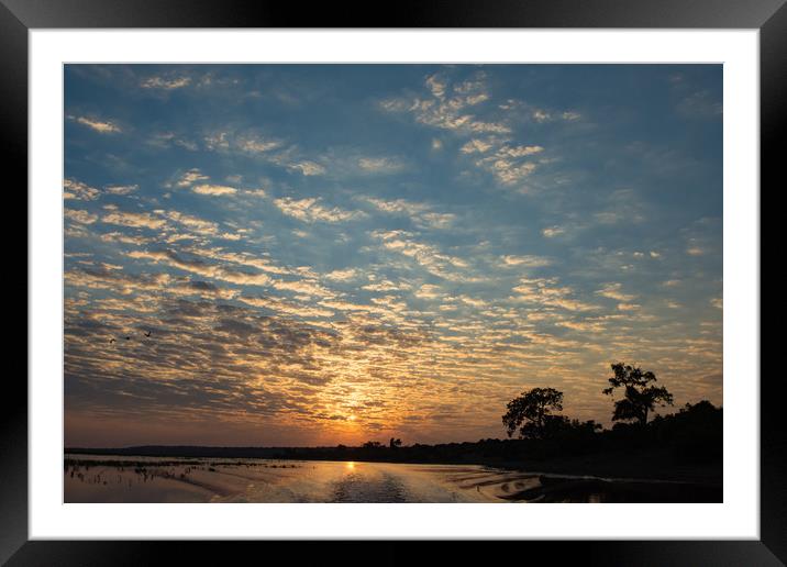 Chobe sunset Framed Mounted Print by Villiers Steyn