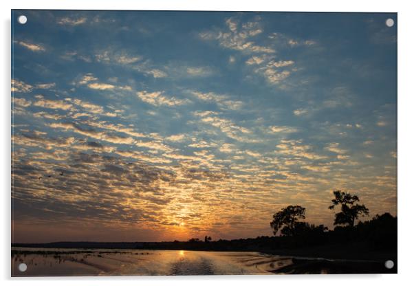 Chobe sunset Acrylic by Villiers Steyn