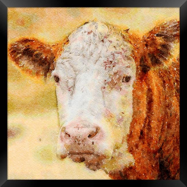 Cow. Brown Cow Watercolour "Print"  Framed Print by Tanya Hall