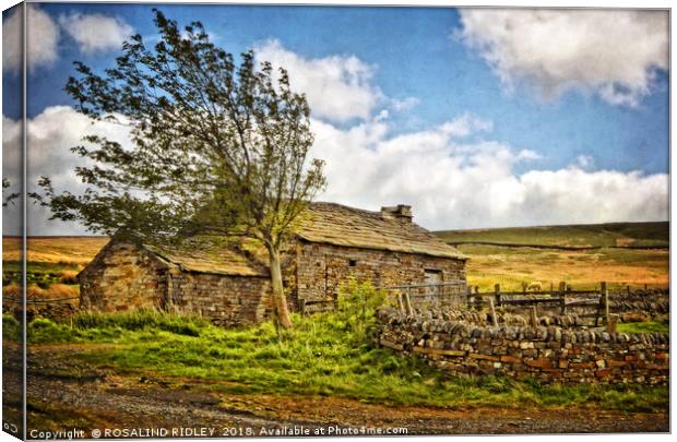 "Windy day on the moors" Canvas Print by ROS RIDLEY