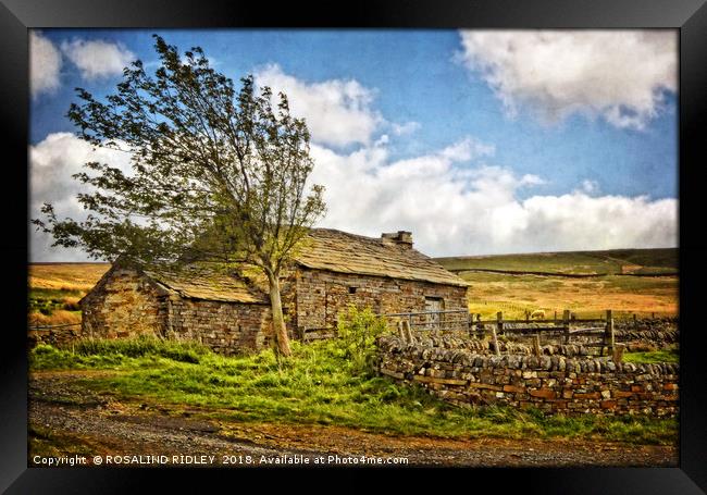 "Windy day on the moors" Framed Print by ROS RIDLEY