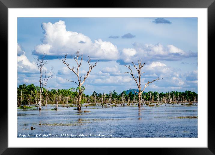 Siem Reap Lake Framed Mounted Print by Claire Turner
