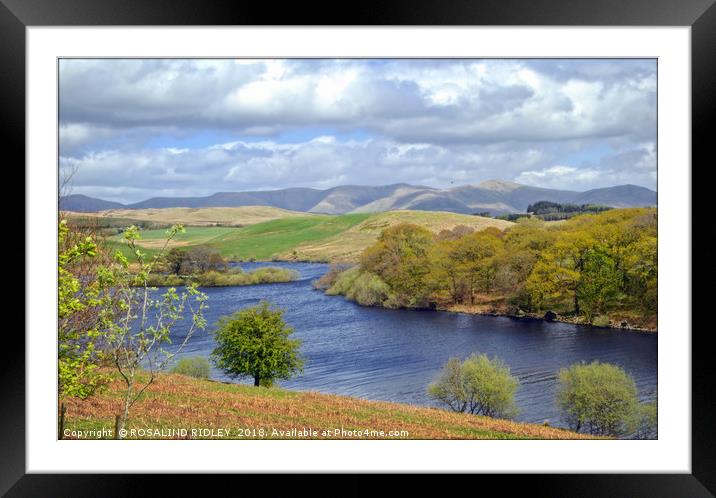 "Across Killington Lake" Framed Mounted Print by ROS RIDLEY