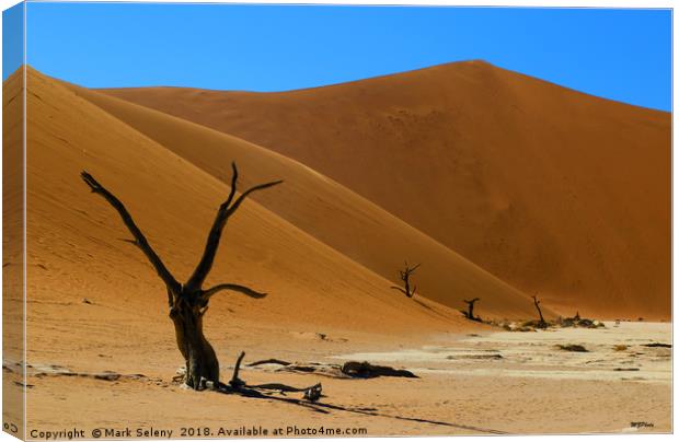 Red Dunes Canvas Print by Mark Seleny