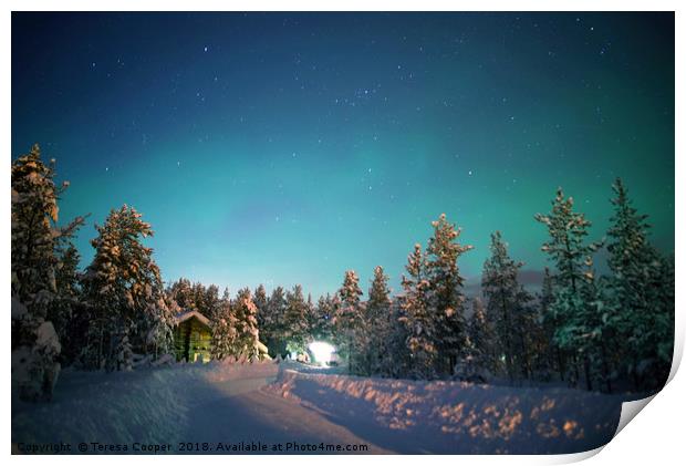 A wooden cabin under the Aurora Borealis  Print by Teresa Cooper
