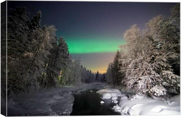 The Aurora Borealis dances over a wintered stream Canvas Print by Teresa Cooper