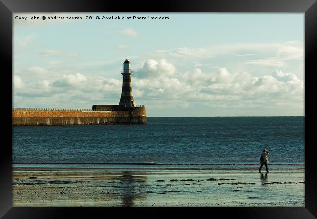 HARBOUR SHORE Framed Print by andrew saxton