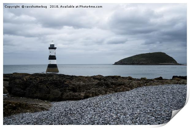 Trwyn Du Lighthouse And Puffin Island Print by rawshutterbug 
