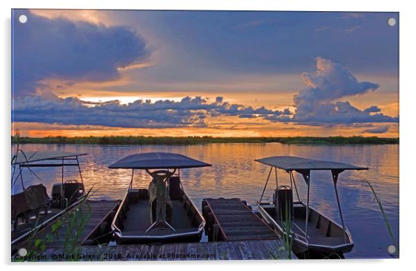 Sunset at the Chobe River Acrylic by Mark Seleny