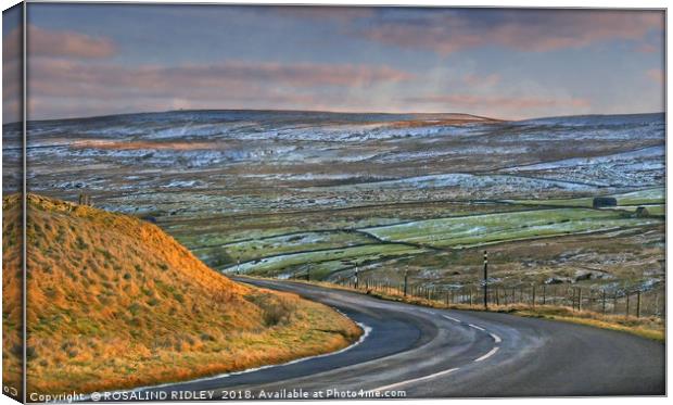 "Snow across Burtree Fell" Canvas Print by ROS RIDLEY