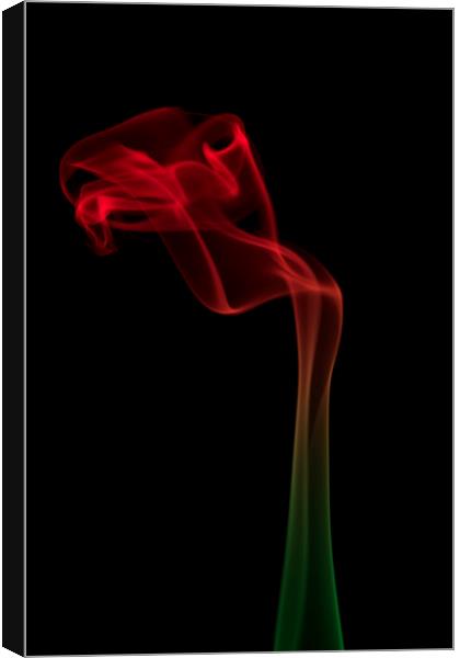 Abstract smoke flower Canvas Print by Sonia Packer