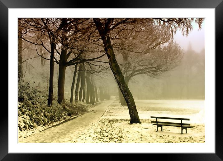 Cold Tranquility Framed Mounted Print by Anthony Michael 