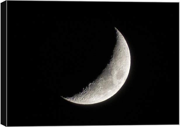 Crescent Moon Canvas Print by Ellie Rose