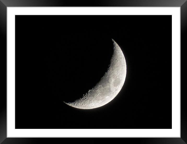 Crescent Moon Framed Mounted Print by Ellie Rose