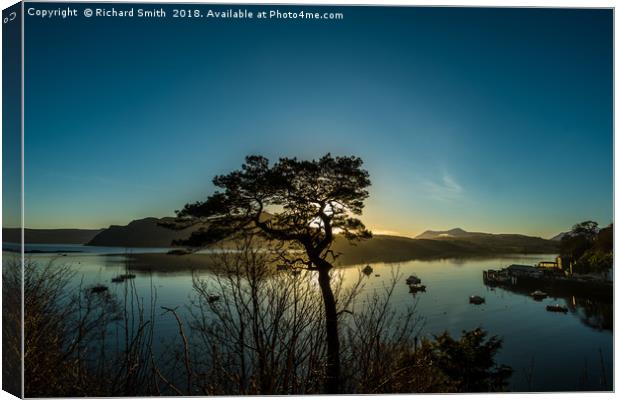 Lone Scots Pine Canvas Print by Richard Smith